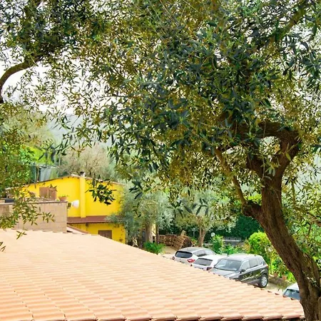 Aurora Oasi Apartman *