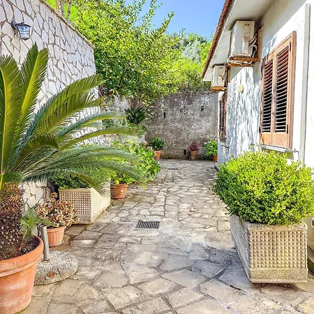 Apartman Aurora Oasi *