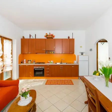 Apartment Aurora Oasi *